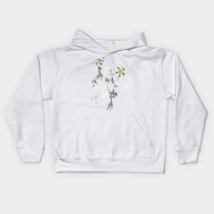 Wild herbs Kids Hoodie